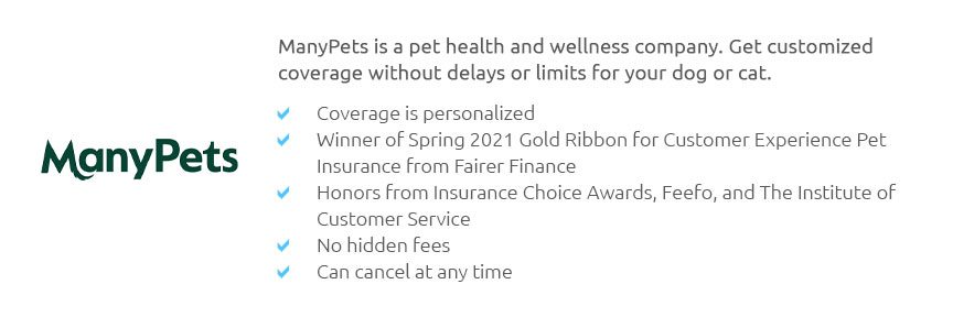 Comparing Pet Insurance Plans 🐾 Jul 2024